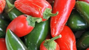 Как выращивать халапеньо в домашних условиях