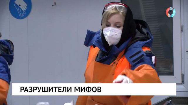 Разрушители мифов смотреть онлайн