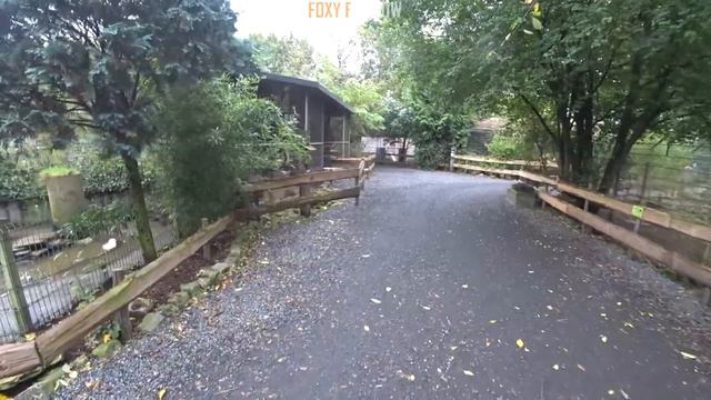 Зоопарк у Нідерландах Dierenpark Zie ZOO - Netherlands смотреть онлайн