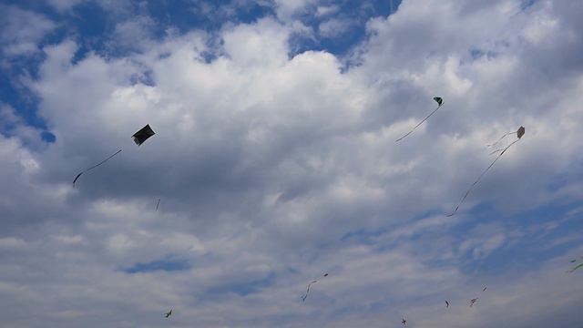 Парад воздушных змеев к 1000-ю г.Бреста. Беларусь. смотреть онлайн