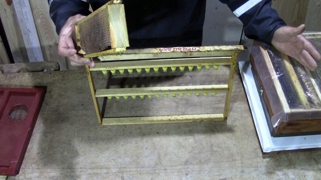 Объявление.Продаю нуклеусы.