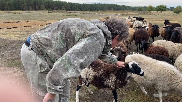 Фермер и помощница