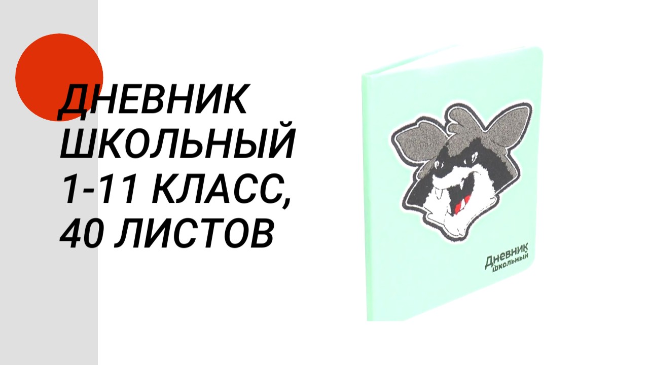 Дневник школьный с интересным дизайном 1-11 класс