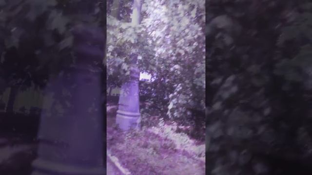 Так я ездила на самокате в Москве смотреть онлайн