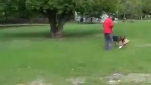 Училище 4 смотреть онлайн