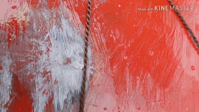 Горностай 366ткм. Плинк на коротке.