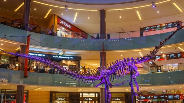 Молл Эмиратов | Достопримечательности Дубая смотреть онлайн