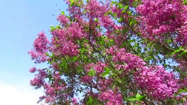 1 мая. С праздником!