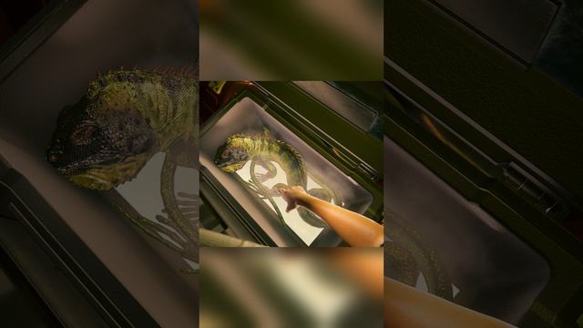 Ограбили корпорацию ради зверушки смотреть онлайн