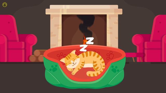 The Meaning Behind Your Cat's Sleeping Position