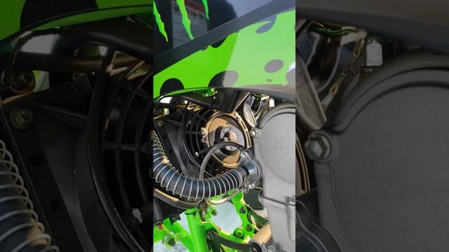 Квадроцикл PROMAX(ПРОМАКС) RAPTOR (РАПТОР) 320 Monster, зимний отзыв смотреть онлайн