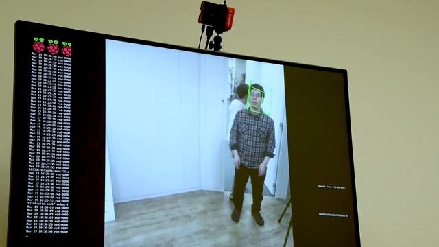 Demo: Head Pose Estimation with Raspberry Pi 3 GPGPU Acceleration смотреть онлайн
