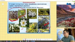 География 8 класс |Северные безлесные природные зоны | Зона Тайги