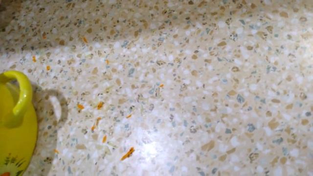 Квашу капусту только так. Sauerkraut.