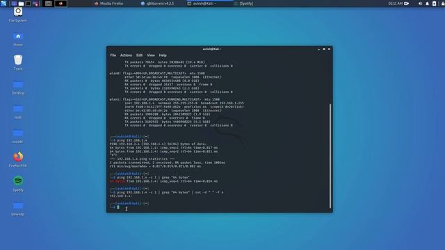 IP EXTRACTION FROM PING ON KALI LINUX.2021 | KALI LINUX смотреть онлайн