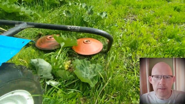 ПОКОС ТРАВЫ. Вторая серия цикла 