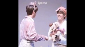 Stray Kids Seungmin and Lee Know lovely moments pt. 2