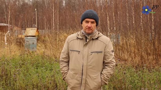 Скважина. Рейтинг неудачных приобретений смотреть онлайн