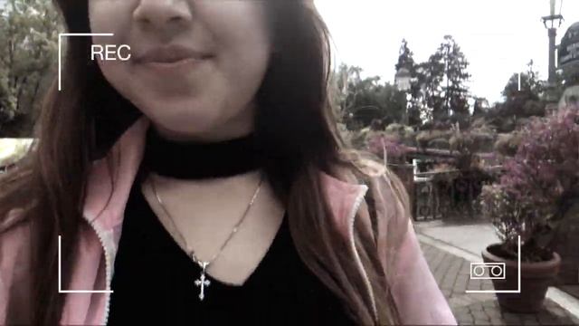 vlog: Германия ♡ Европа-парк и самый сказочный город смотреть онлайн