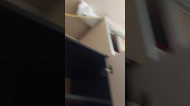 Прятки😎 смотреть онлайн