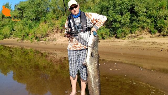 Спиннинг Norstream Absolut 842MHH