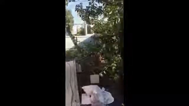 Отзыв Установки забора (zakazzaboroff.ru)