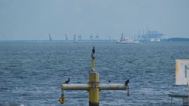 👣Пешком из Гдыни в Сопот смотреть онлайн