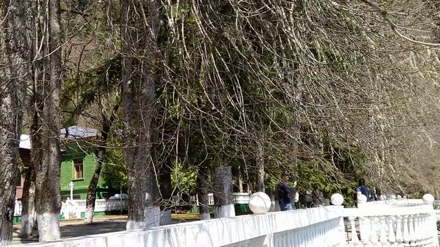 о.Рица со стороны дачи Сталина апрель 2019 смотреть онлайн