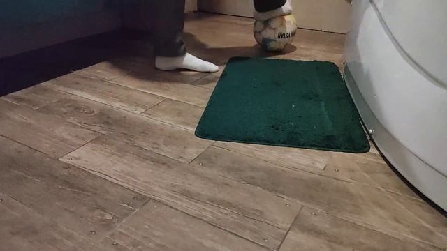 15.11.23 2ой год Ежедневных тренировок с мячом смотреть онлайн