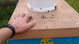 КАК ЛЕГЧЕ ЗАКОРМИТЬ В ЗИМУ ПЧЕЛ? ПАКЕТЫ ВЕДРА КОРМУШКА БОКОВАЯ ДЛЯ ПЧЕЛ/осенний закорм пчел