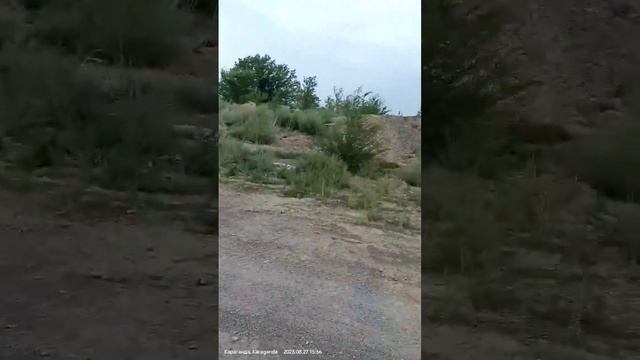 ЧАСТНЫЙ КАРЬЕР ОПАСНО ПРИБЛИЖАЕТСЯ К ЖИЛЫМ КВАРТАЛАМ КАРАГАНДЫ! смотреть онлайн