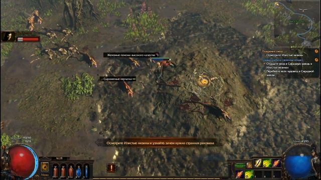 Path of Exile смотреть онлайн