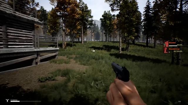 Mist Survival # 2 | Прохождение | Смертельная ошибка - Медведь - Оружие смотреть онлайн