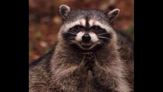 Психология эмоций/биполярное расстройство личности/Чем опасен эмоциональный человек смотреть онлайн