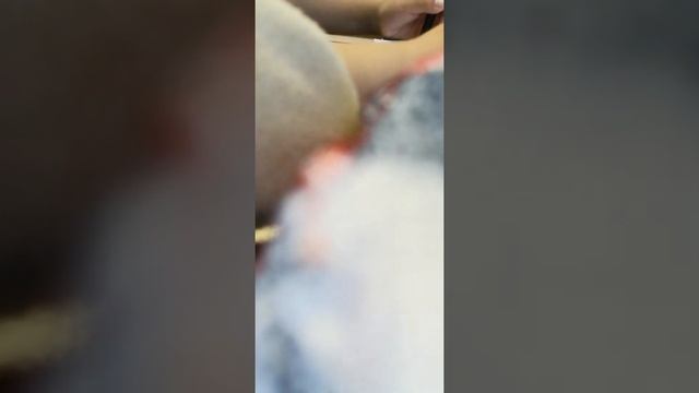 Тутор по рисованию кошки/собаки смотреть онлайн