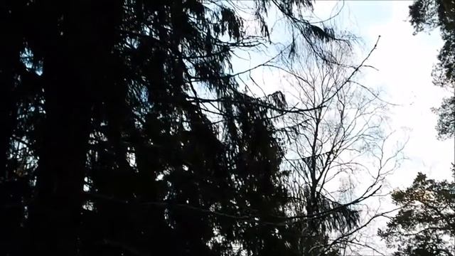 Ураа! Выпал снег в Калининграде. Сказка) январь 2018 смотреть онлайн