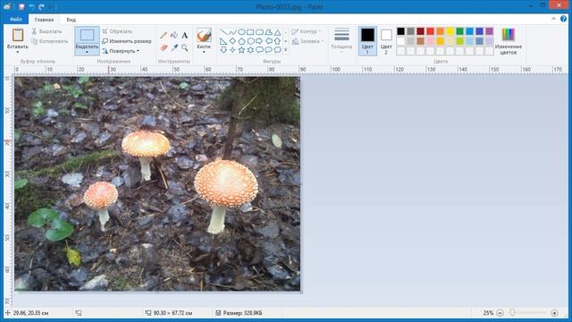 Как в Paint убрать лишнее смотреть онлайн