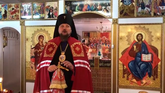 Проповедь Архиепископа Питирима на Пасхальной Божественной Литургии смотреть онлайн