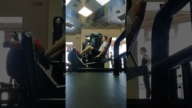 Икры сидя в тренажере 4*20 (25 кг) смотреть онлайн