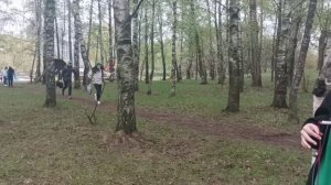 Зелёная олимпиада