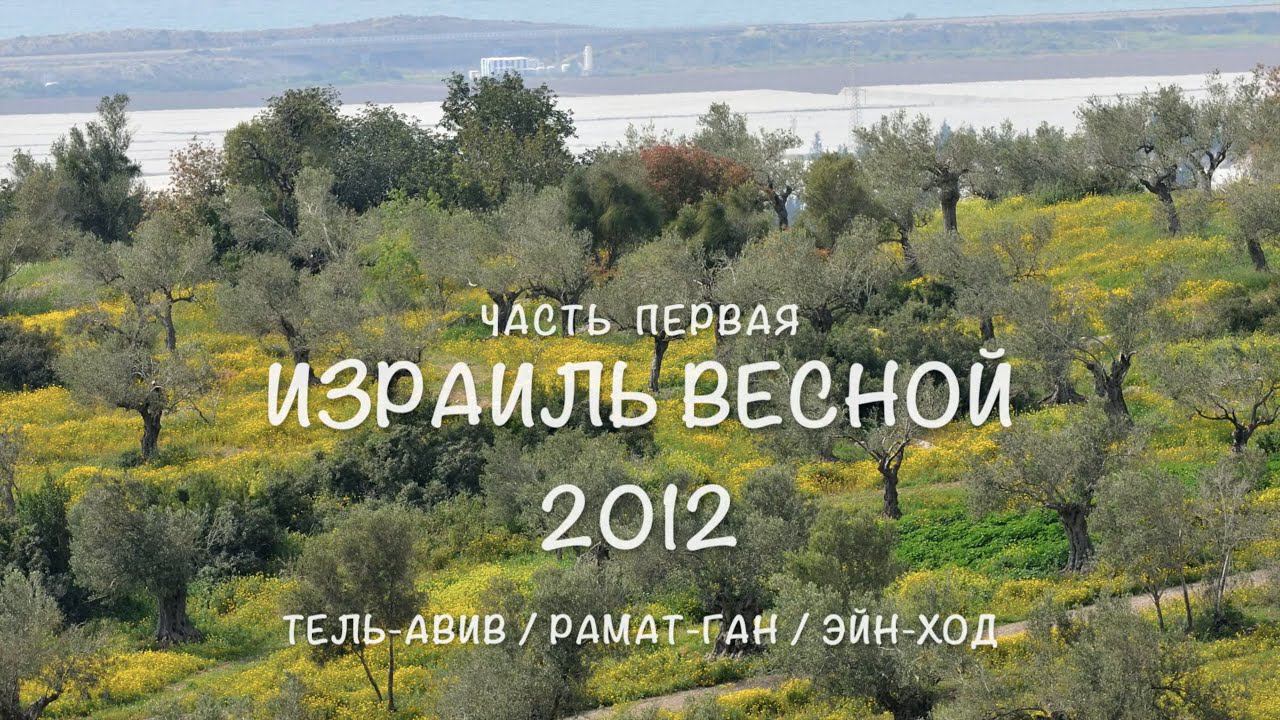 Израиль весной 2012 (часть 1) Тель-Авив/Рамат-Ган/Эйн-Ход смотреть онлайн
