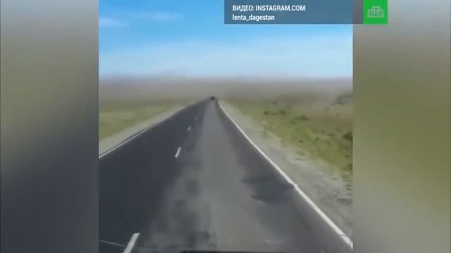 Нашествие. часть 3. саранча! смотреть онлайн