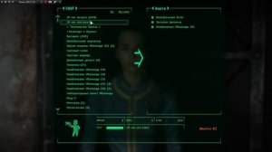Женский спецназ Fallout 3. Спутницы, без которых не обойтись