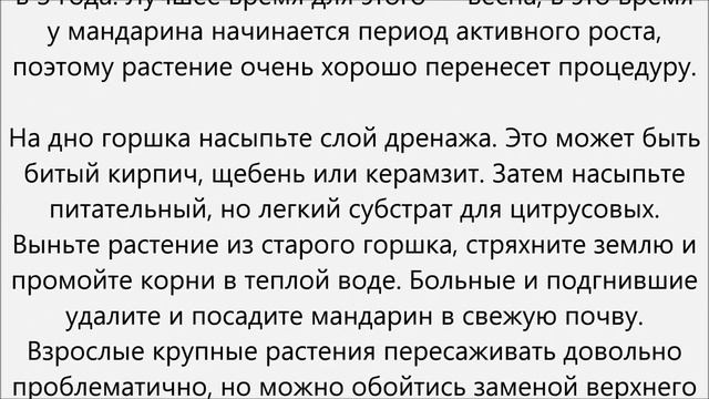 Как ухаживать за мандарином смотреть онлайн