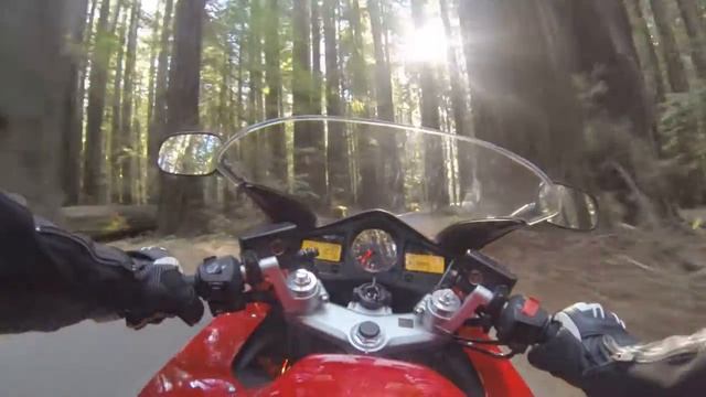 Redwood Forrest on a Honda VFR 800 смотреть онлайн