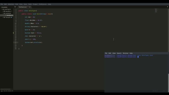 Java Programming and Development 3: (Primitive Data Types Cont.) смотреть онлайн