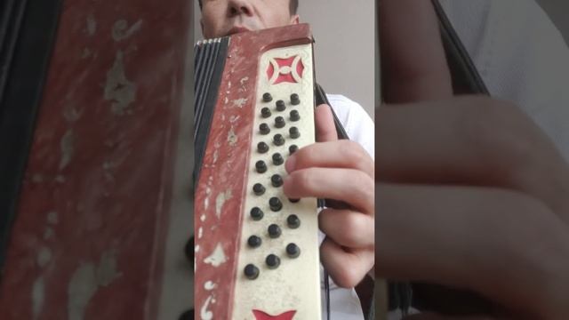 Как научиться играть на гармошке. "Как под горкой под горой". Разбор песни. Фишки на гармошке смотреть онлайн