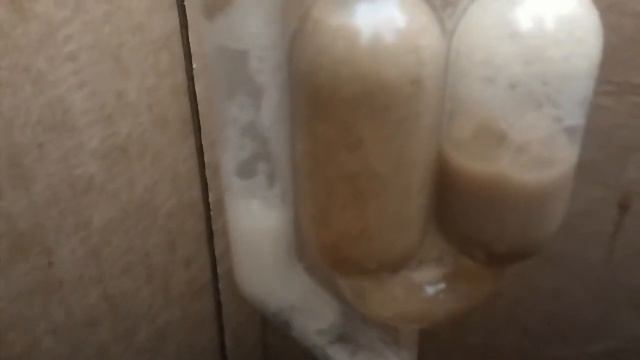 Safale S-04 Working...