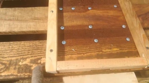 Дно для улья