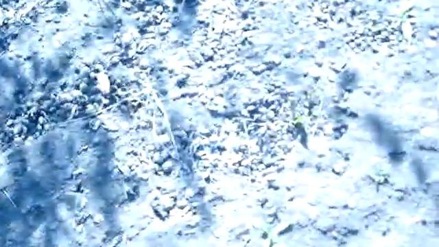 Коп с Асе 350 Евро.